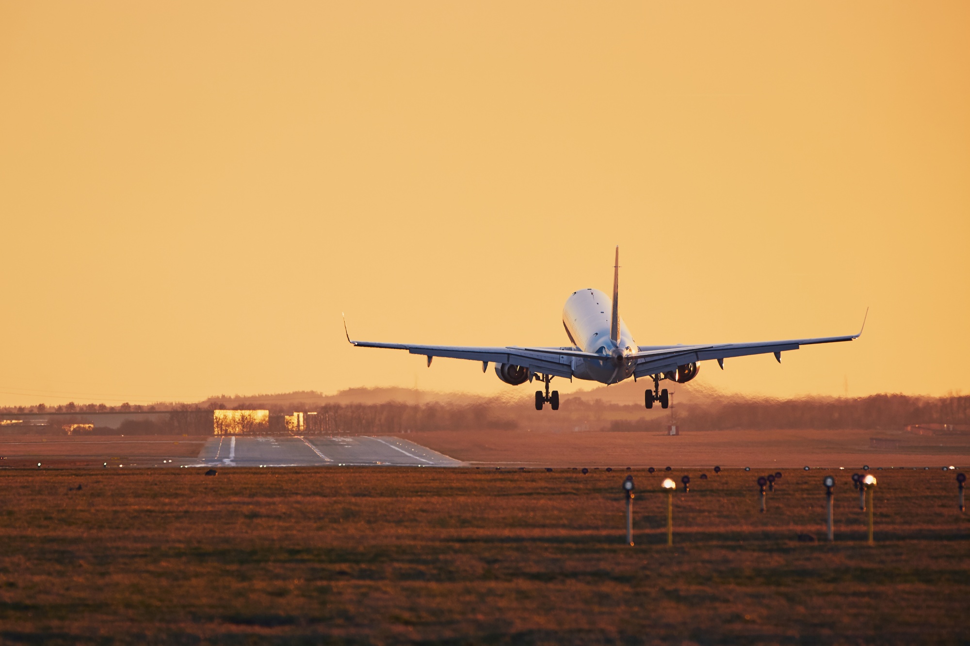 Landing aircraft.